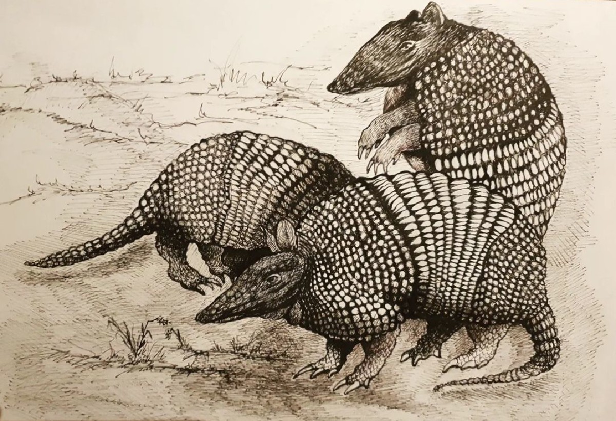 Gürteltiere